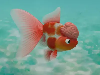 Lion head Goldfish Lowpoly 3D model Low-poly 3D model