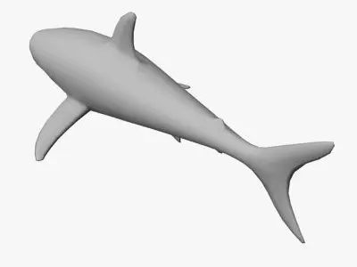 Low Poly Shark Low-poly 3D model purchase