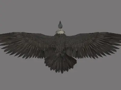 vulture 3D model buy