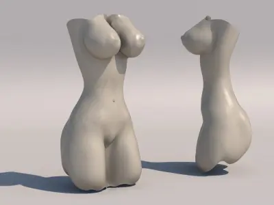 Body Part - Women 3D model purchase