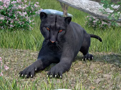 Black Panther Lying Down 3D model