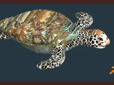 TURTLE sea 3D model