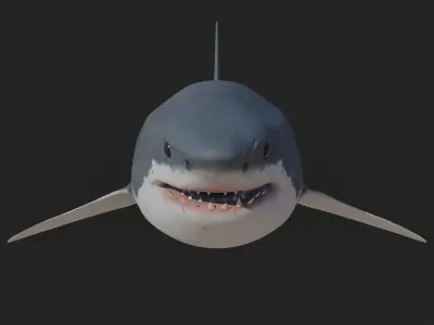 Great White Shark 3D model shop
