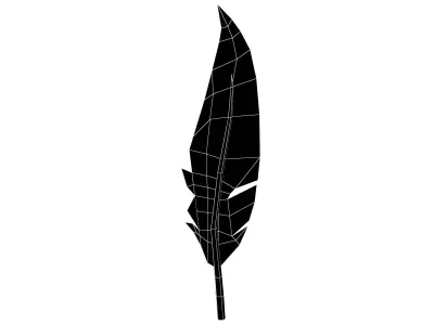 Feathers v1 004 Low-poly 3D model