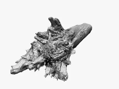 3D Tree trunk Zbrush sculpt 3D model