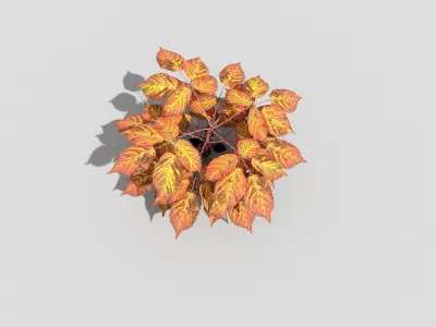 Plant with orange leaves Low-poly 3D model
