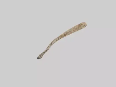 Cheetah Tail 3D model
