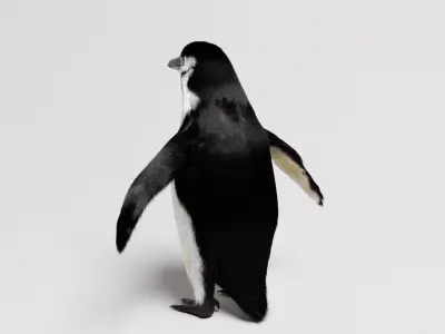 Penguin special Low-poly 3D model