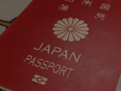 passport id pack of different countries Low-poly 3D model