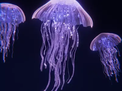 Jellyfish Geometry Nodes 3D model