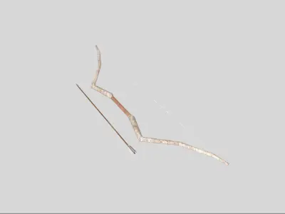 low poly bow 3 and arrow Low-poly 3D model