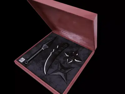 Ninja Tools 3D model