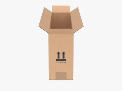 Cardboard Box 50x10x20 Half Open 3D model
