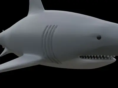 Shark 3D model buy