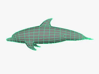Low Poly Dolphin Low-poly 3D model buy