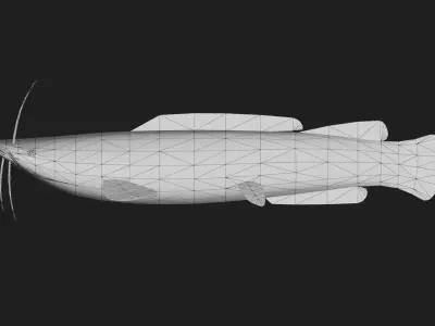Catfish Low-poly 3D model 3