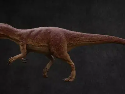 Allosaurus dinosaur Low-poly 3D model buy