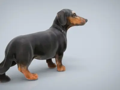 DACHSHUND Low-poly 3D model purchase