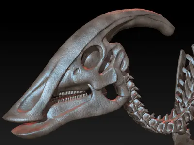 Parasaurolophus skeleton Low-poly 3D model purchase