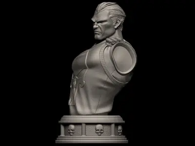 Fanart THE PUNISHER - Bust 3D print model