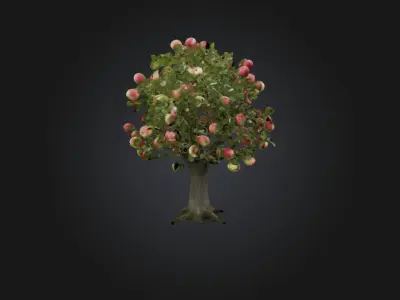 Apple Tree Low-poly 3D model purchase