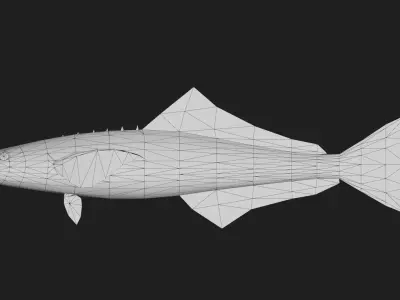 Bass fish Low-poly 3D model 11