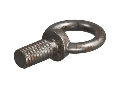 Rusty Steel Eye Bolt 3D model