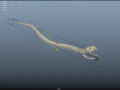  Snake skeleton rigged 