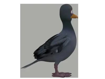 pigeon cartoon rigged character 3D model