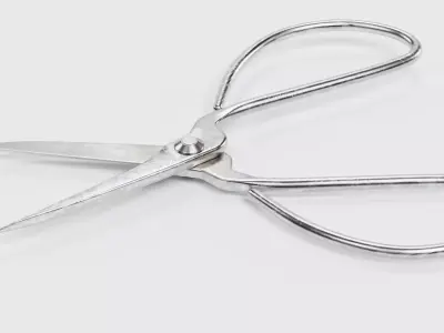 -Bonsai Scissors- 3D model