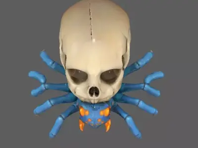 Spider 3D model get