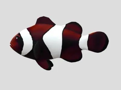 clownfish Low-poly 3D model purchase