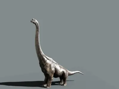 Brachiosaurus dinosaur 3D model purchase