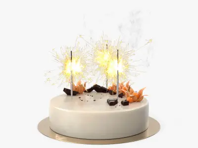 Celebration Mousse Cake with Sparklers and Physalis Decoration 3D model