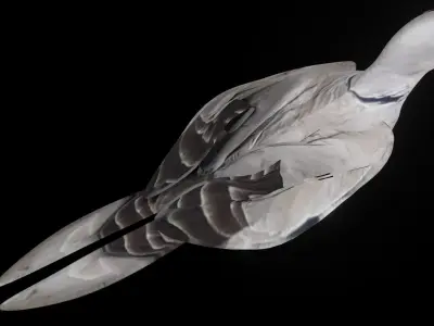 Fully Rigged Textured Animated Pigeon 3D model