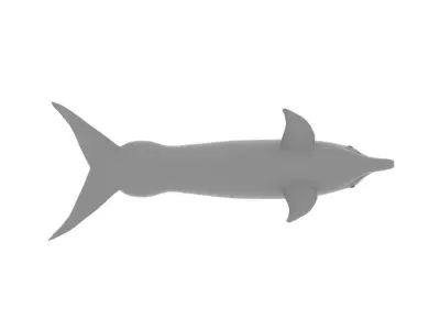 Afalin dolphin 3D model