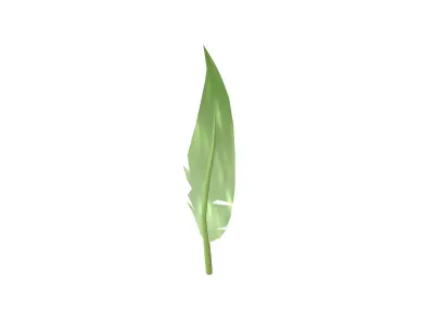 Feathers v1 004 Low-poly 3D model