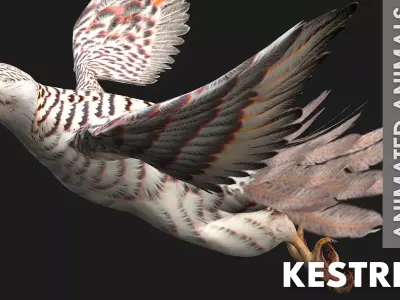 Kestrel B5 Free low-poly 3D model