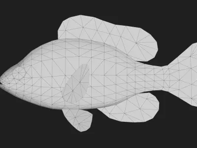 Centrarchidae Low-poly 3D model purchase