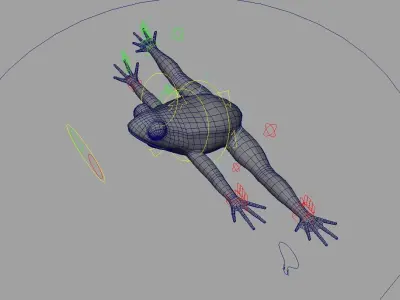 Frog Model in air Low-poly 3D model