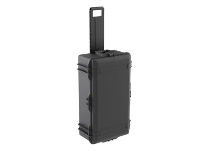 Air Travel Case 3D model
