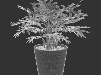  Philodendron Plant Potted Plant Model  buy