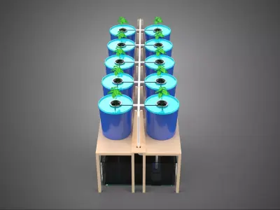 DBS DUTCH BUCKET SYSTEM BATO HYDROPONIC PLANT CULTIVATION GARDEN 3D model