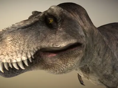 Tyrannosaurus rex Low-poly 3D model 20