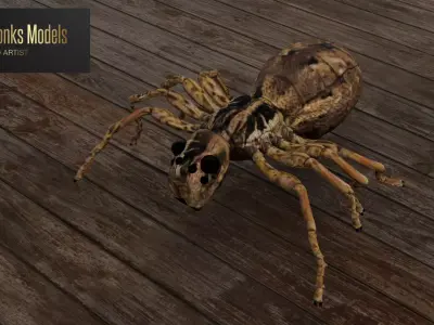 Spider Low-poly 3D model shop