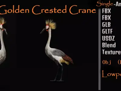 African Grey Crested Crane Bird Free low-poly 3D model