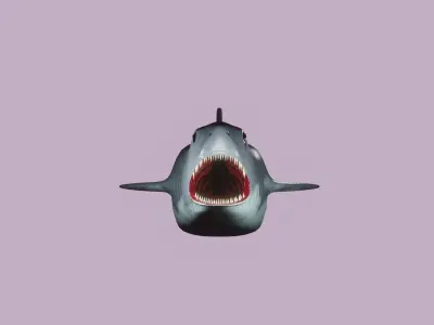 Shark - lowpoly model Low-poly 3D model