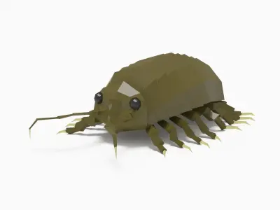 Bug low poly Low-poly 3D model buy