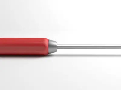 Screw Driver Security Hex 3D model