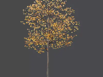 Mountain Ash Tree 04 3D model